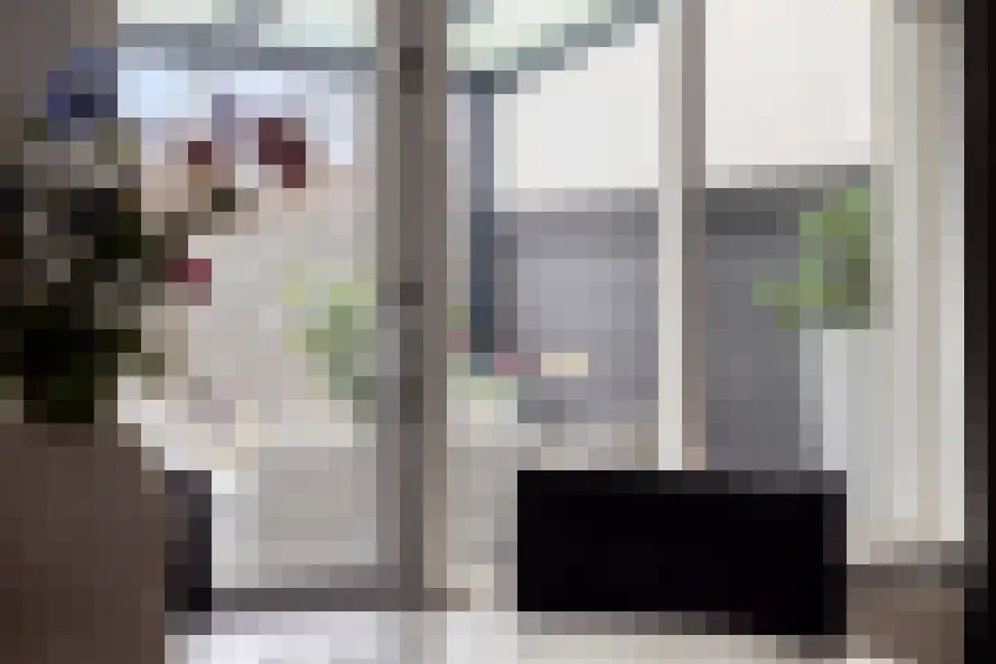 Limburglaan 11 Son en Breugel thumbnail 13