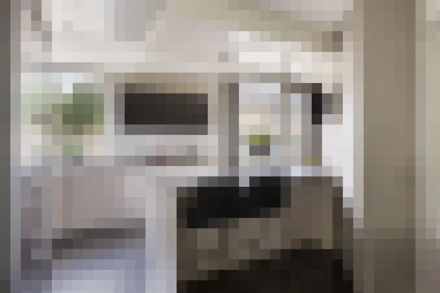 Limburglaan 11 Son en Breugel thumbnail 15
