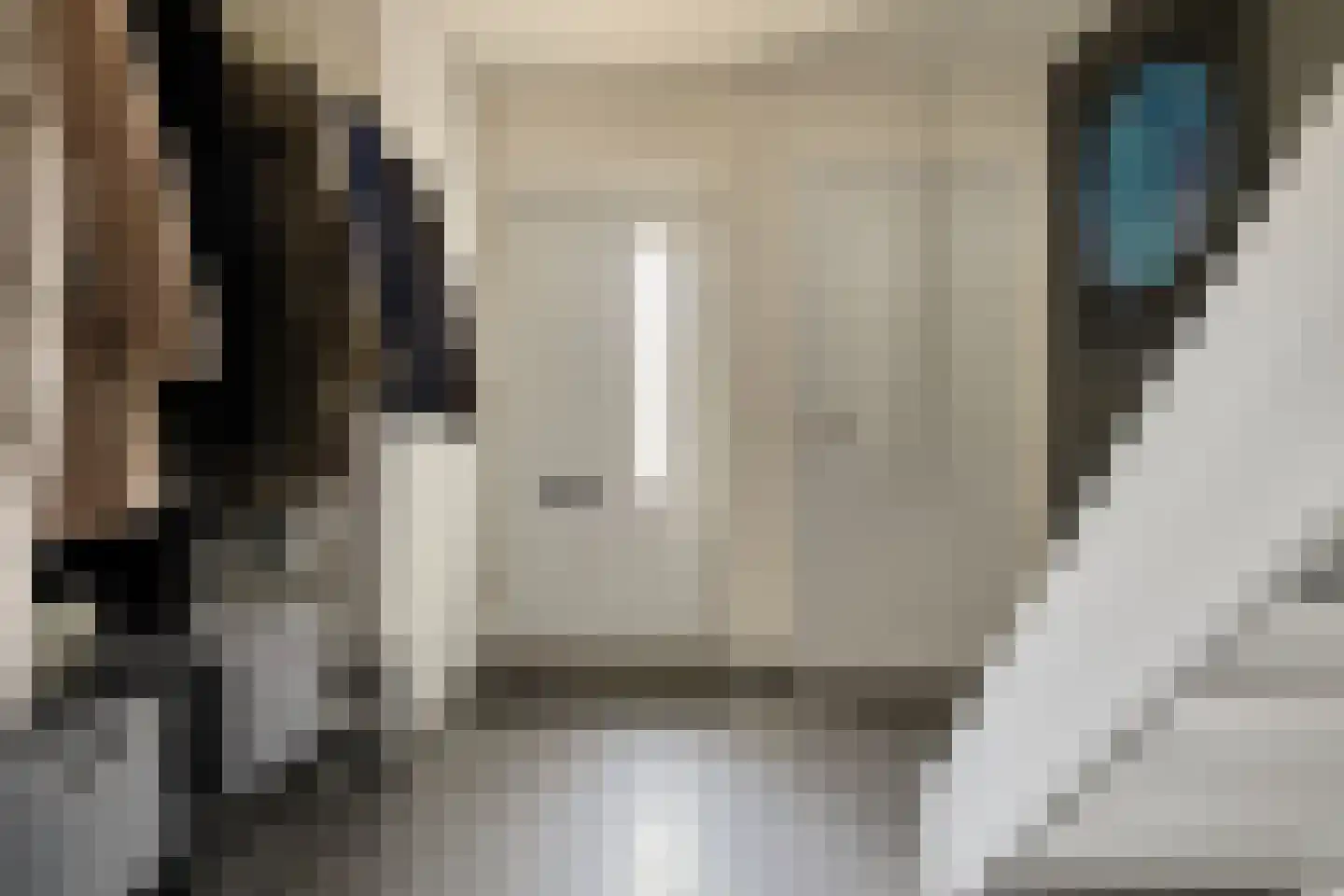 Limburglaan 11 Son en Breugel thumbnail 7