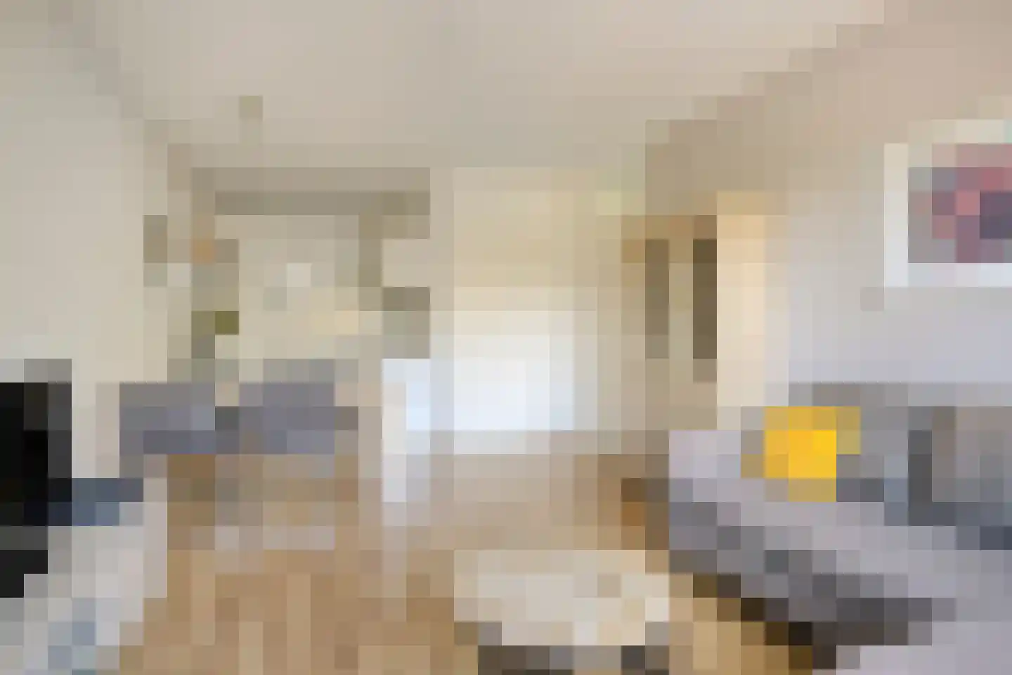 Limburglaan 121 Eindhoven thumbnail 12