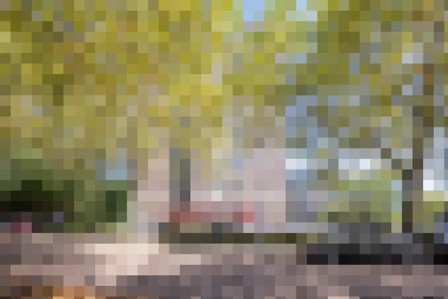 Limburglaan 121 Eindhoven thumbnail 23