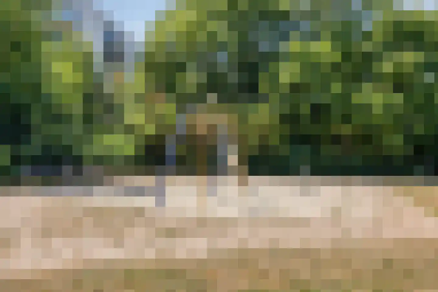 Limburglaan 121 Eindhoven thumbnail 24