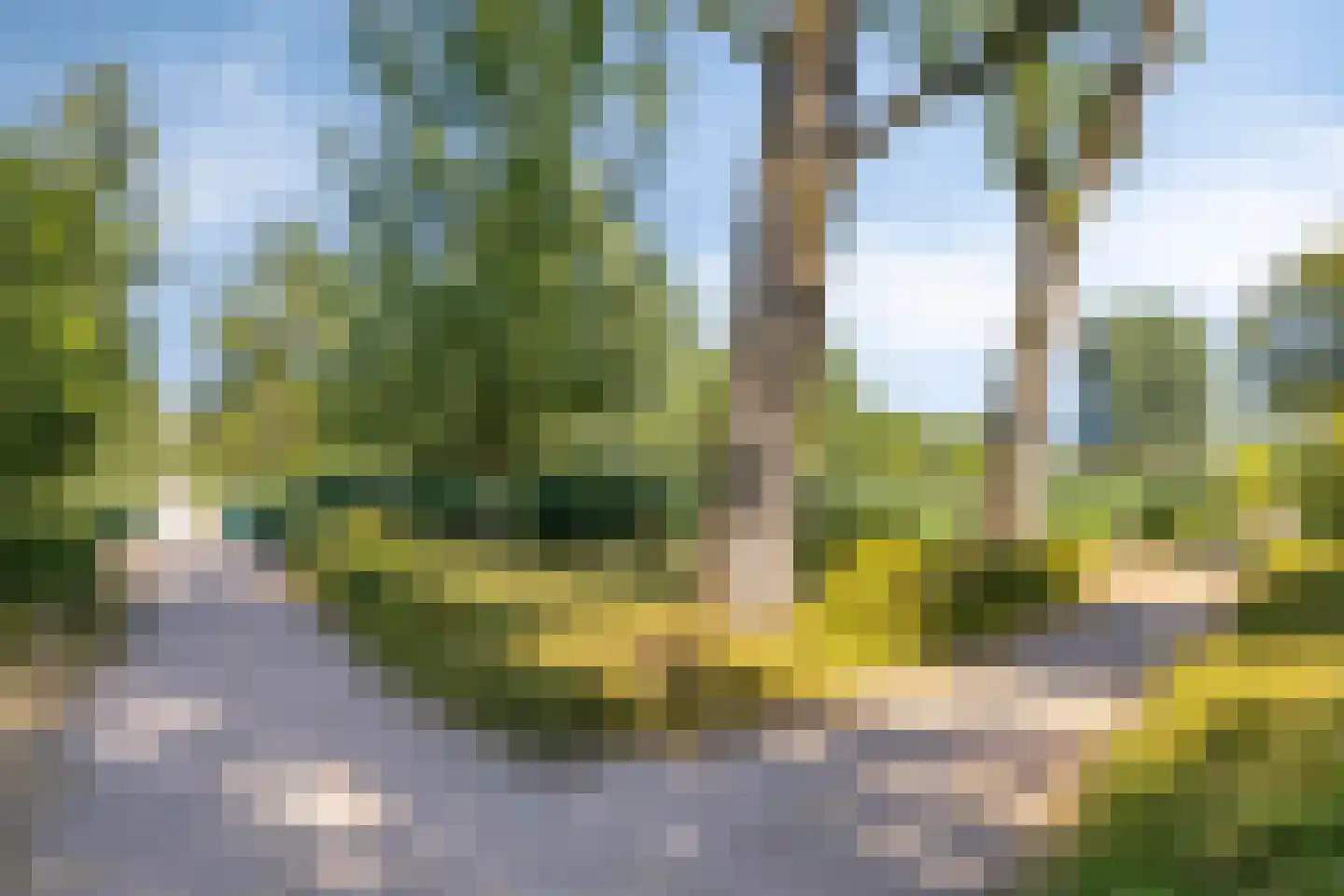 Limburglaan 121 Eindhoven thumbnail 26