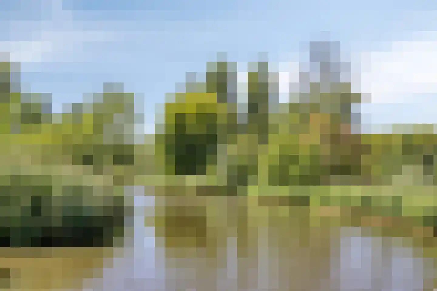 Limburglaan 121 Eindhoven thumbnail 27