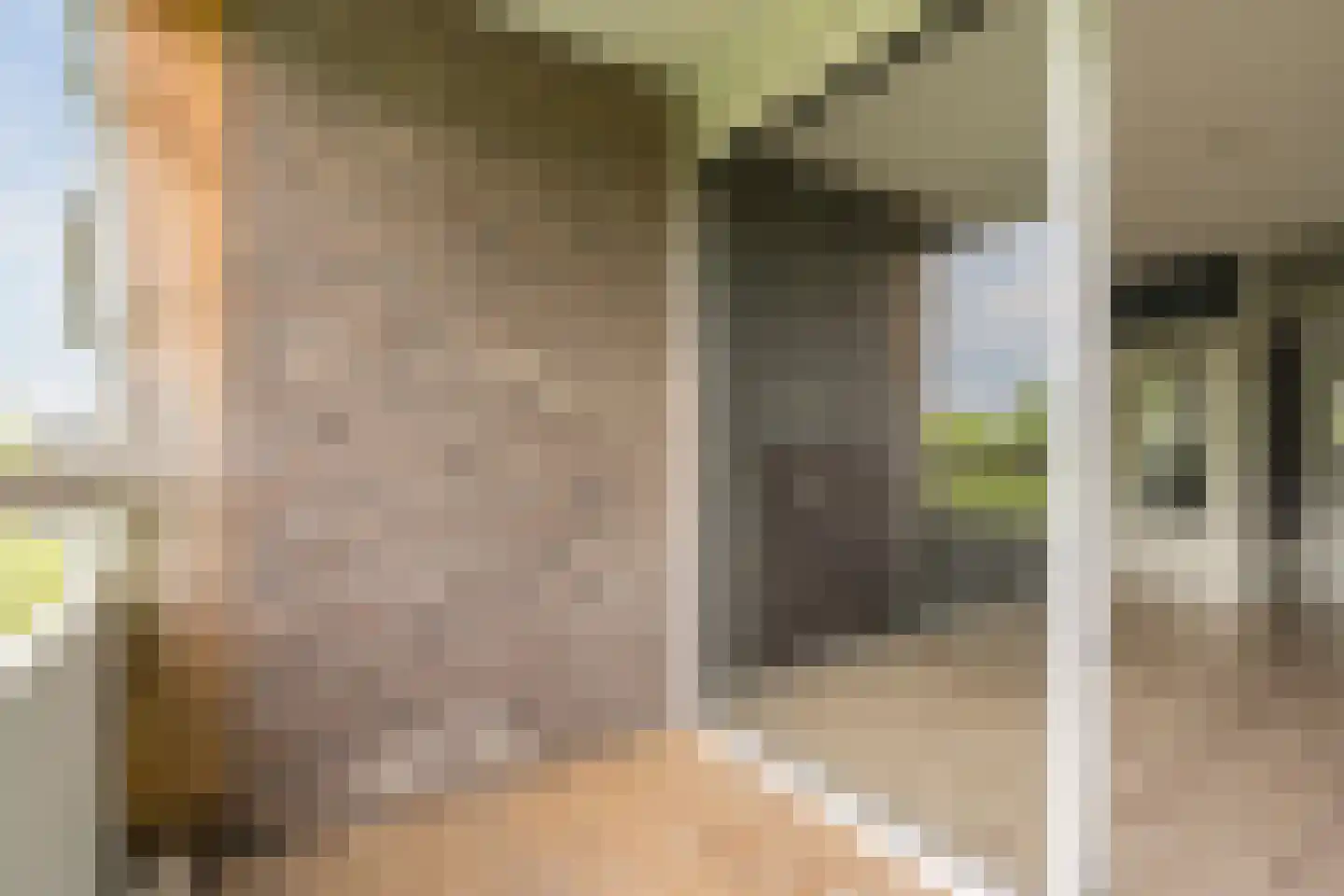 Limburglaan 135 Eindhoven thumbnail 13