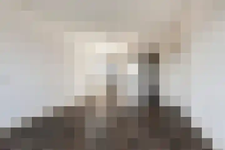Limburglaan 147 Eindhoven thumbnail 14