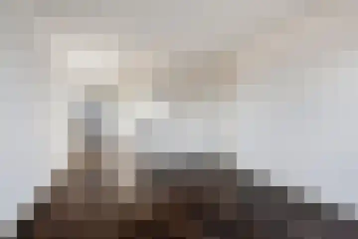 Limburglaan 147 Eindhoven thumbnail 15