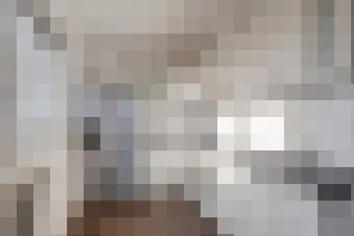 Limburglaan 147 Eindhoven thumbnail 17