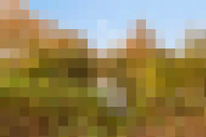Limburglaan 147 Eindhoven thumbnail 27