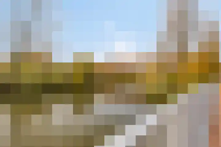 Limburglaan 147 Eindhoven thumbnail 28
