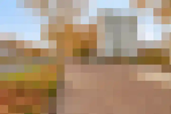 Limburglaan 147 Eindhoven thumbnail 30