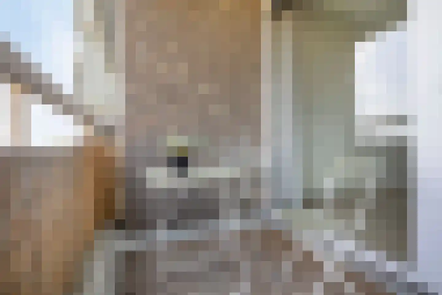 Limburglaan 175 Eindhoven thumbnail 15