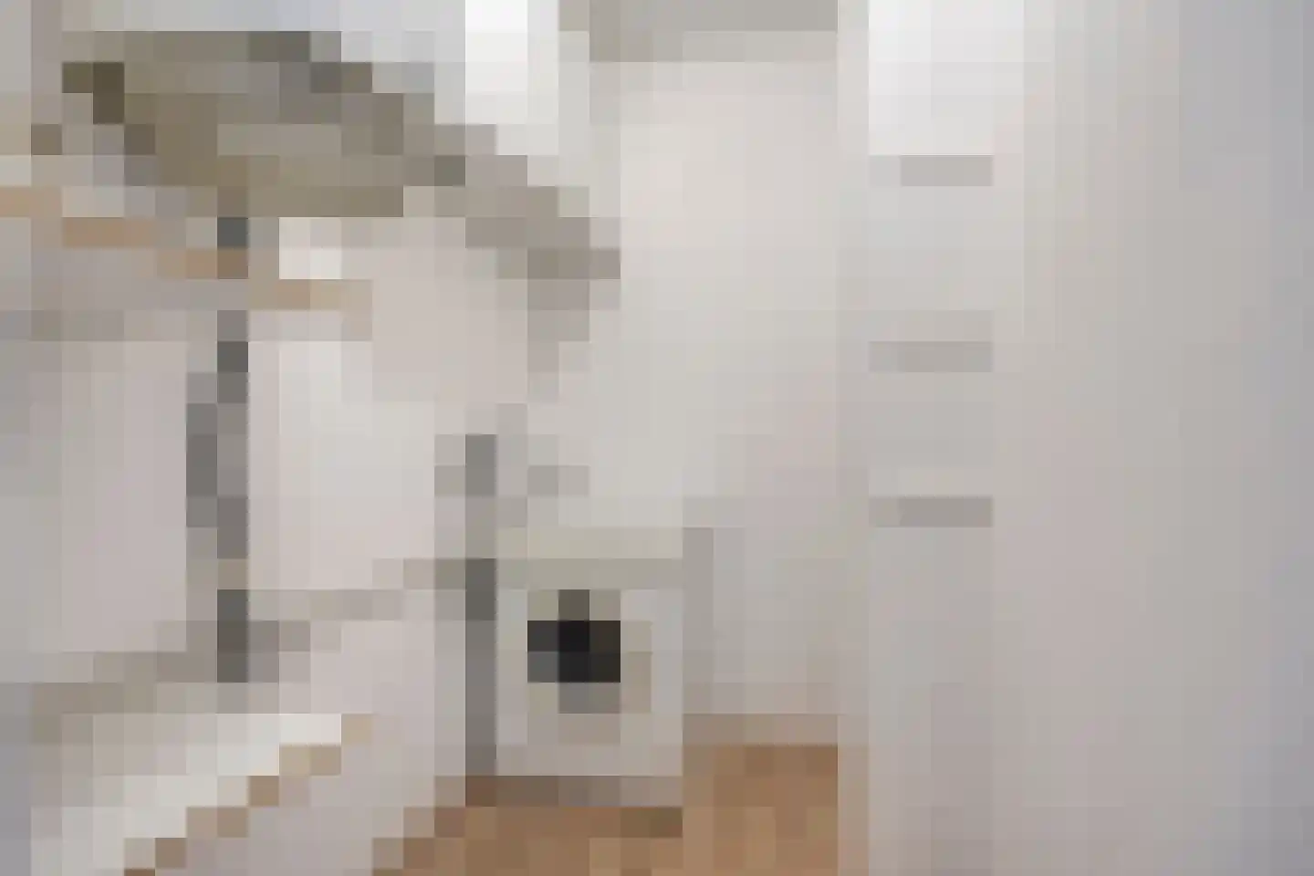 Limburglaan 175 Eindhoven thumbnail 18
