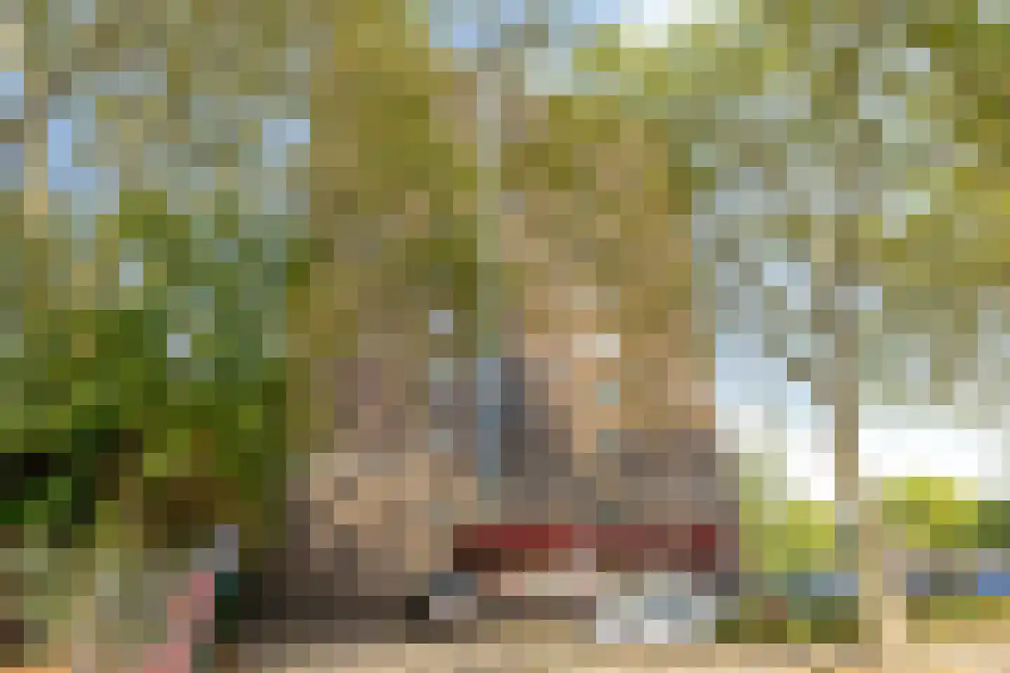 Limburglaan 175 Eindhoven thumbnail 19