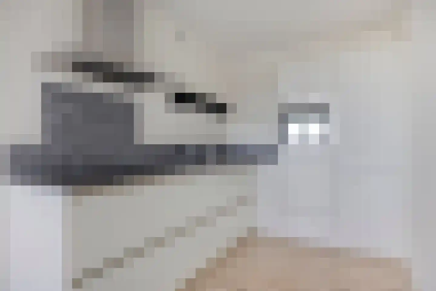 Limburglaan 175 Eindhoven thumbnail 5