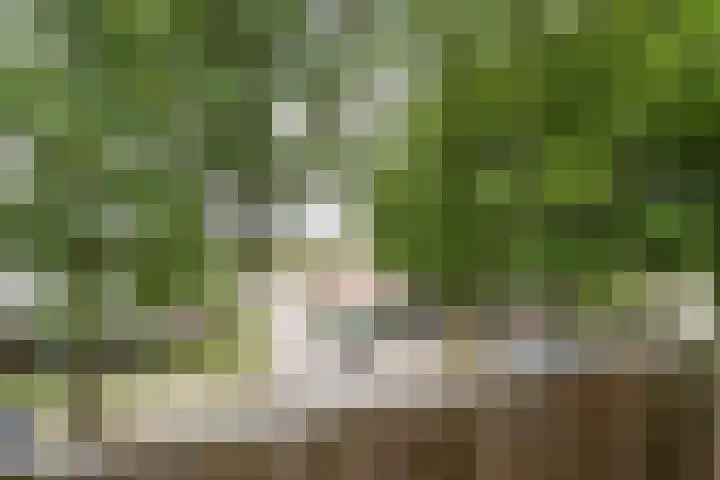 Limburglaan 20 Weert thumbnail 26