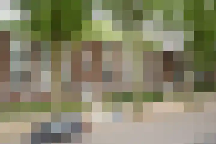 Limburglaan 20 Weert thumbnail 31