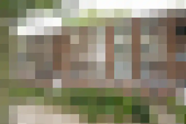 Limburglaan 20 Weert thumbnail 33