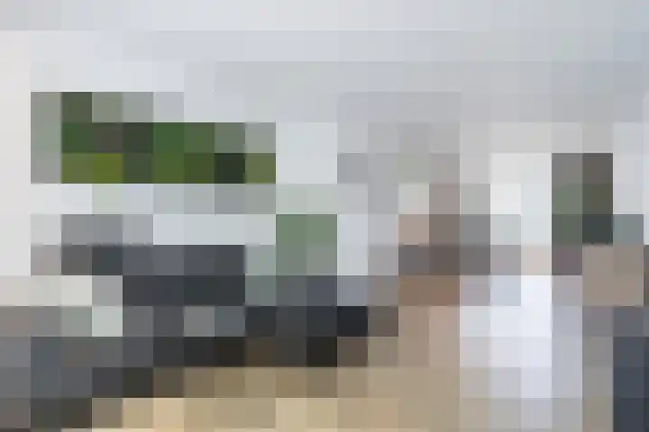 Limburglaan 20 Weert thumbnail 35
