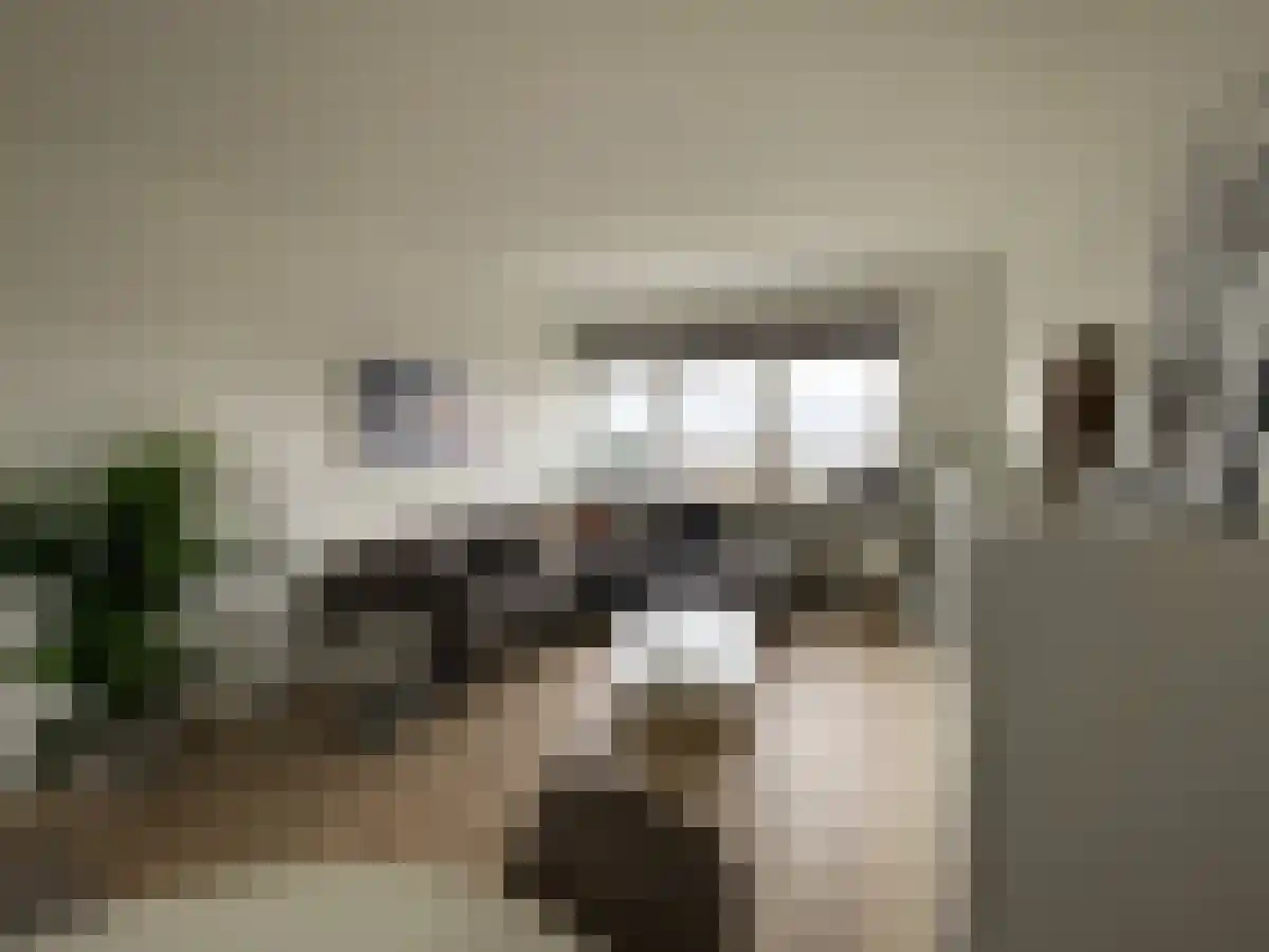 Limburglaan 203 Eindhoven thumbnail 4