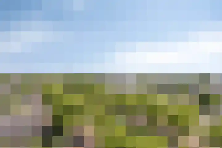 Limburglaan 211 Eindhoven thumbnail 10