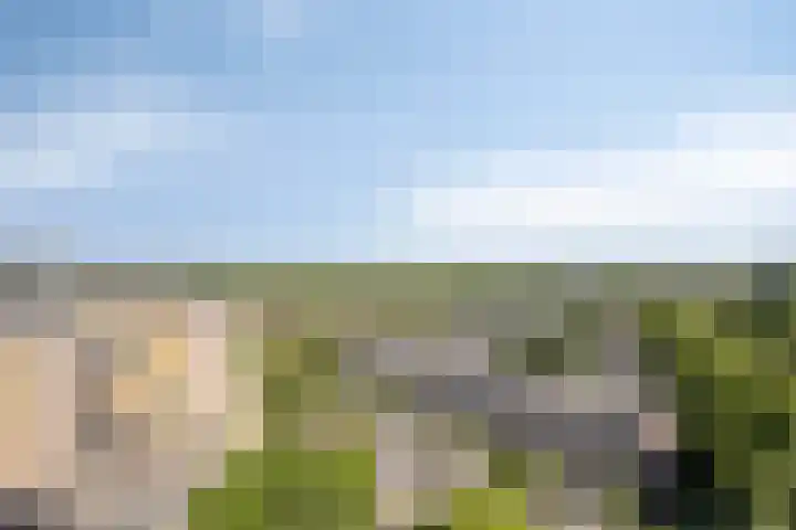Limburglaan 211 Eindhoven thumbnail 11
