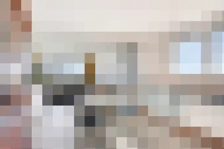 Limburglaan 211 Eindhoven thumbnail 12