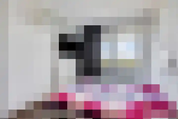 Limburglaan 211 Eindhoven thumbnail 16