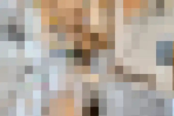 Limburglaan 211 Eindhoven thumbnail 19