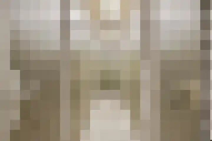Limburglaan 211 Eindhoven thumbnail 20