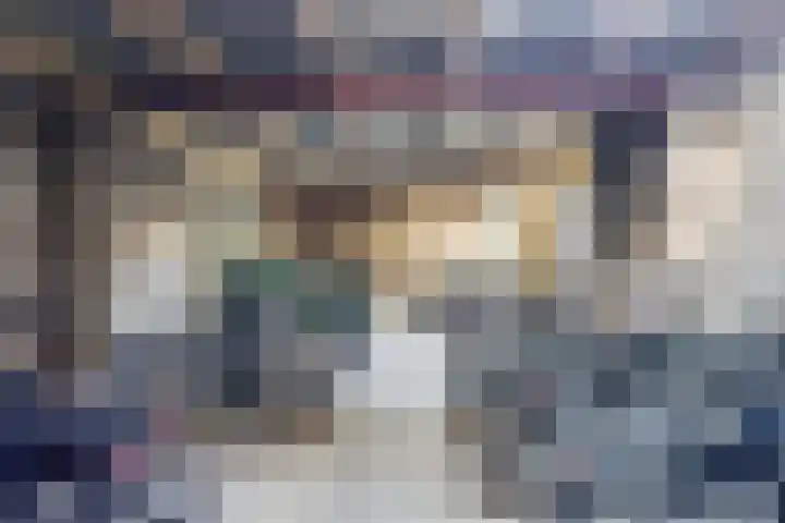 Limburglaan 211 Eindhoven thumbnail 21