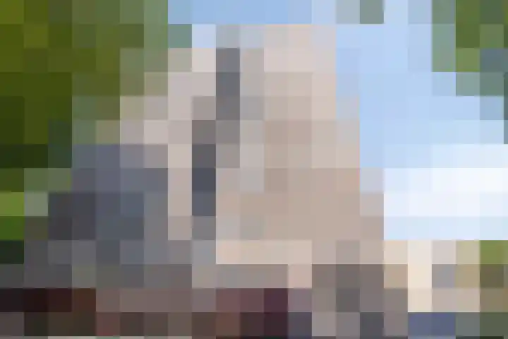 Limburglaan 211 Eindhoven thumbnail 7