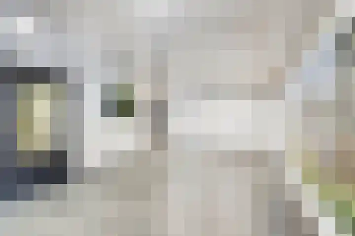 Limburglaan 211 Eindhoven thumbnail 8
