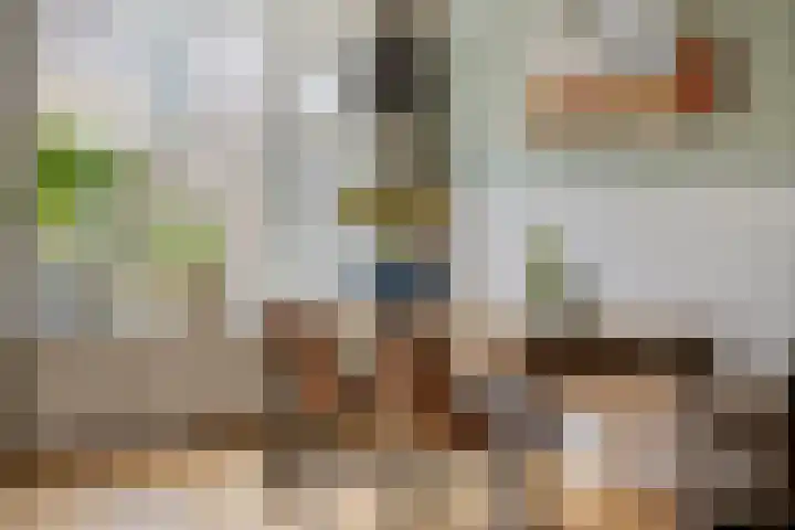 Limburglaan 24 Son en Breugel thumbnail 15
