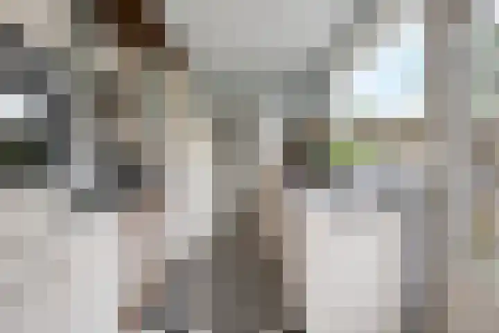 Limburglaan 24 Son en Breugel thumbnail 20