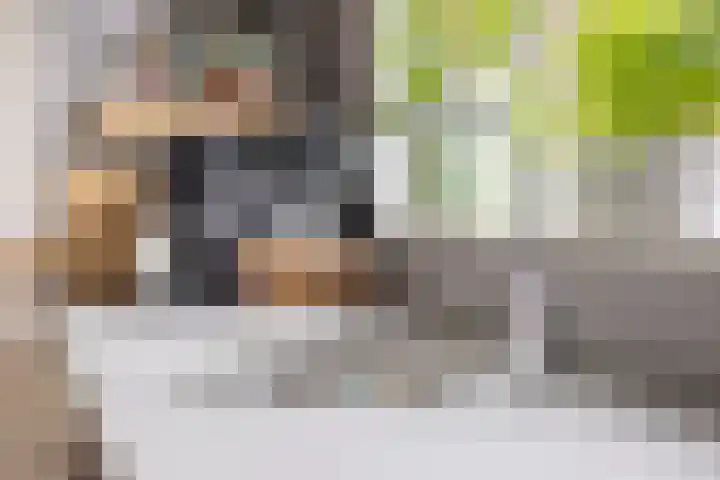 Limburglaan 24 Son en Breugel thumbnail 22