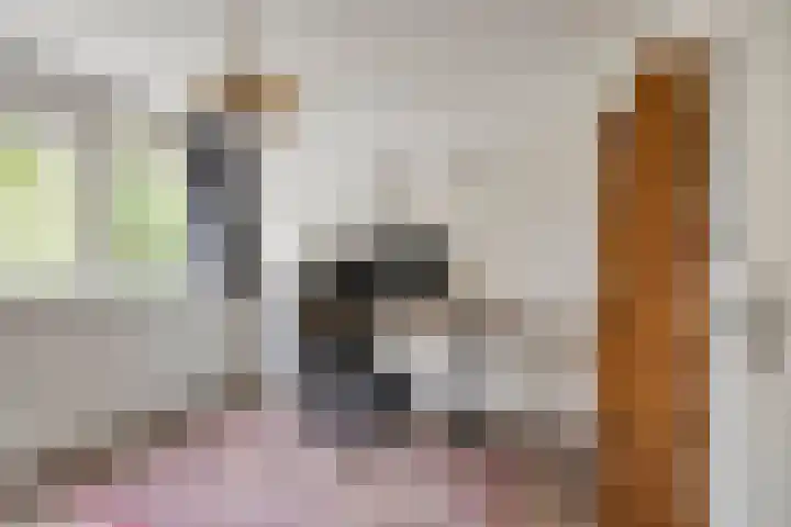 Limburglaan 24 Son en Breugel thumbnail 29