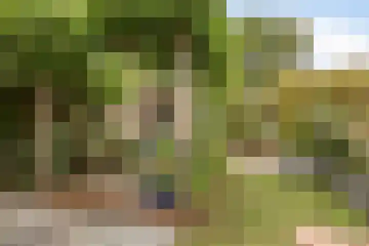 Limburglaan 24 Son en Breugel thumbnail 44