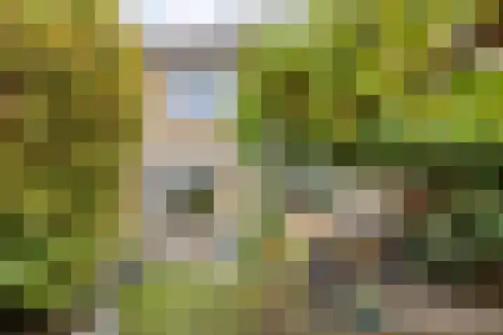 Limburglaan 24 Son en Breugel thumbnail 46
