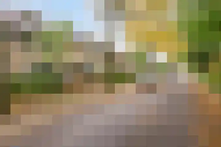 Limburglaan 24 Son en Breugel thumbnail 51