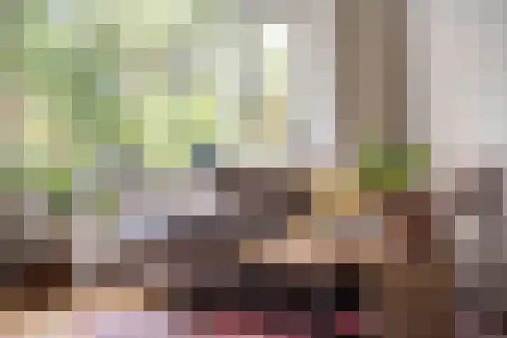 Limburglaan 24 Son en Breugel thumbnail 8
