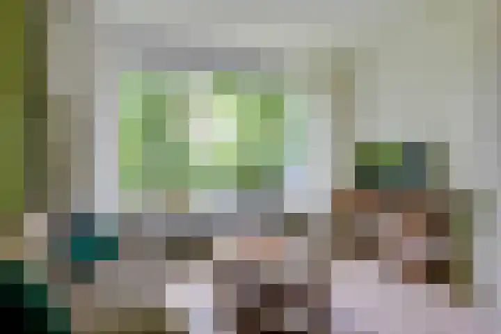 Limburglaan 26 Son en Breugel thumbnail 11