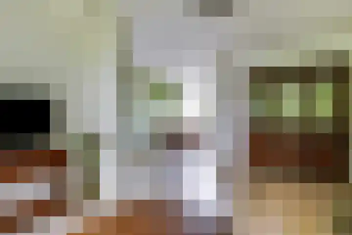 Limburglaan 26 Son en Breugel thumbnail 13
