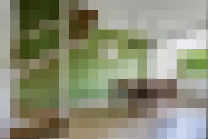Limburglaan 26 Son en Breugel thumbnail 14