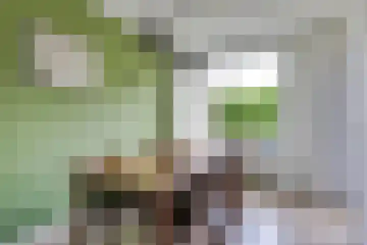Limburglaan 26 Son en Breugel thumbnail 15