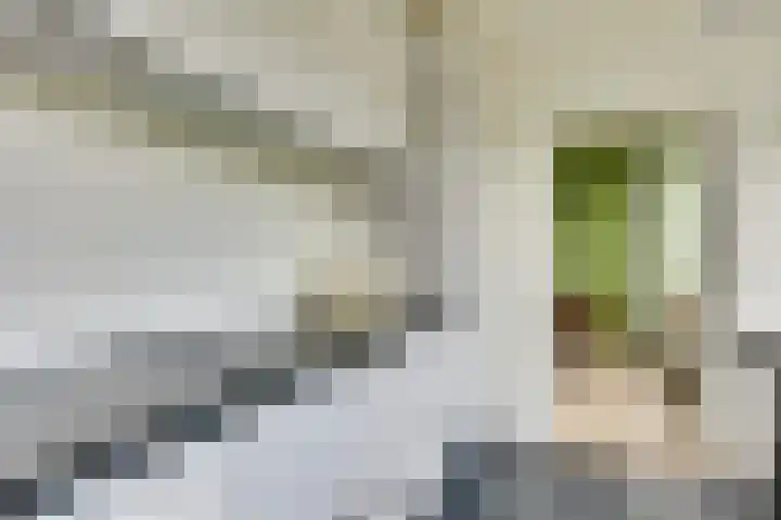 Limburglaan 26 Son en Breugel thumbnail 18
