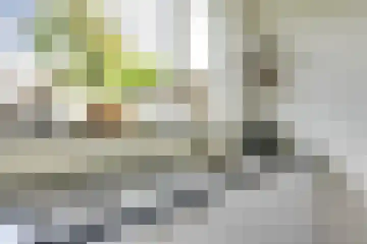Limburglaan 26 Son en Breugel thumbnail 20