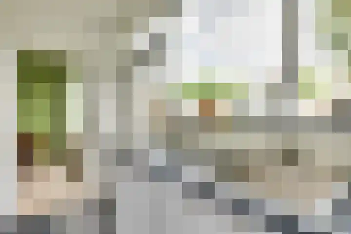 Limburglaan 26 Son en Breugel thumbnail 21