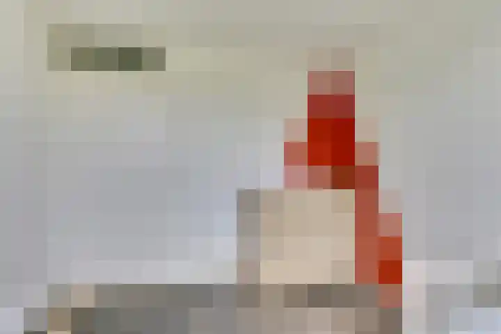 Limburglaan 26 Son en Breugel thumbnail 26