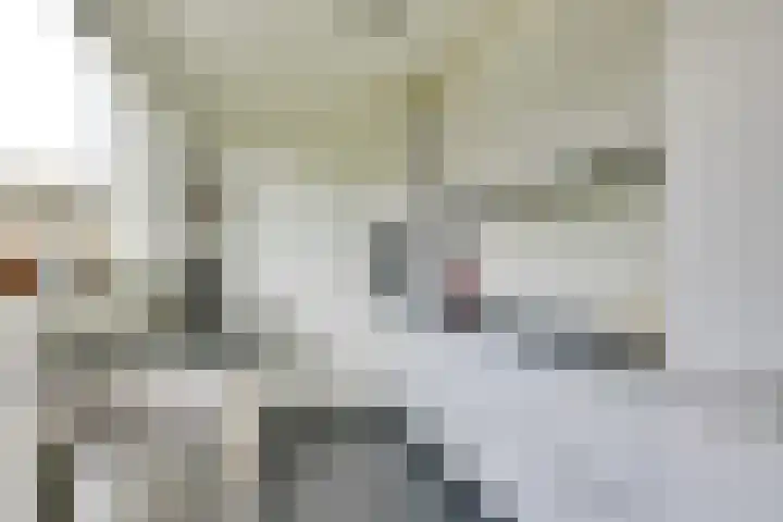 Limburglaan 26 Son en Breugel thumbnail 4